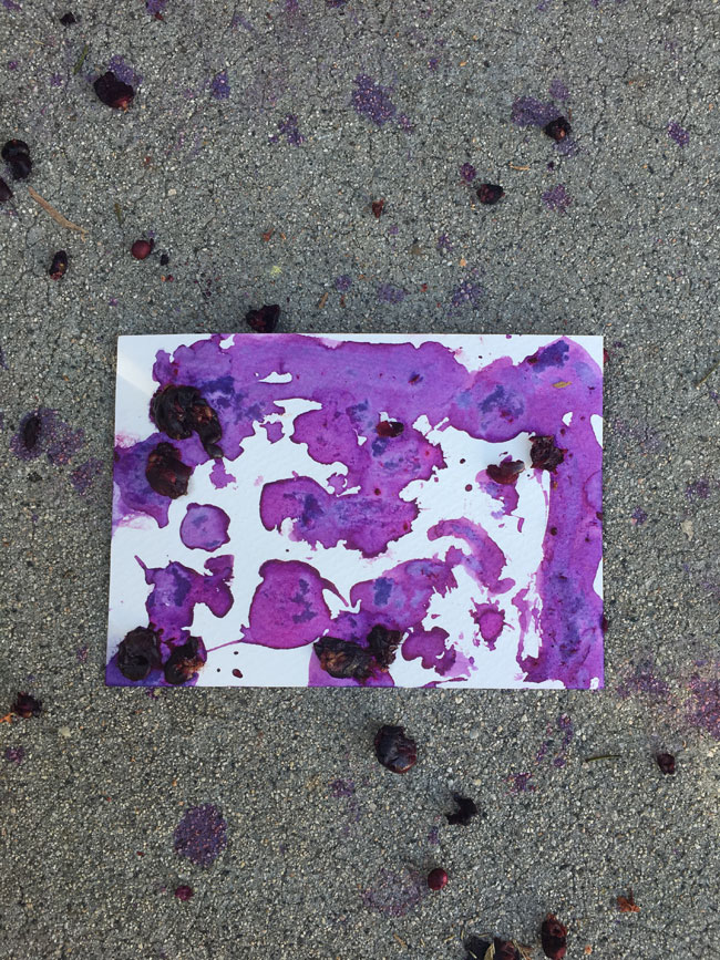 dhorvitz2016studiorenteditions-september650